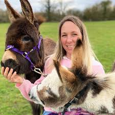 Mini Donkeys For Sale